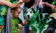 Images from downtown Indy's St. Patrick's day parade - a kid and dog both sporting green