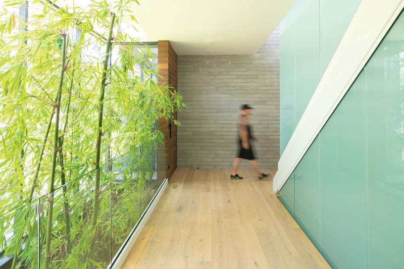 There's art throughout the home, but the most unusual installation is the bamboo grove.