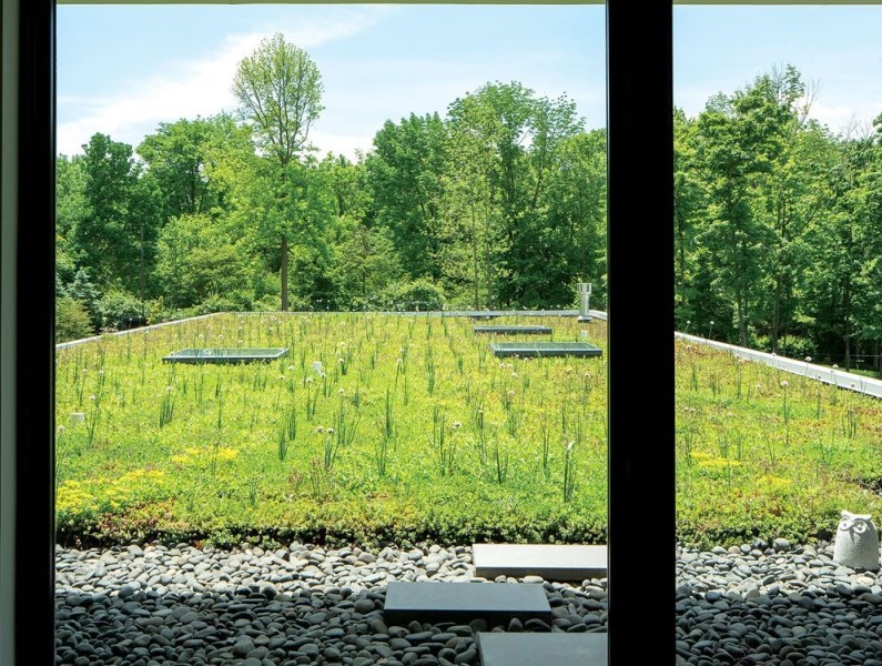 Green roof