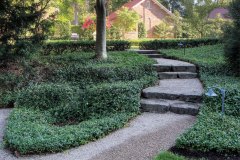 Groomed Walkway