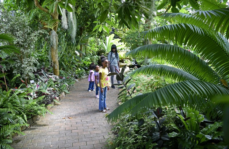 Garfield Park Sunken Garden