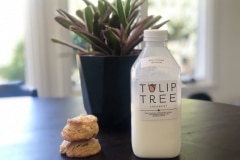 Tulip Tree Creamery