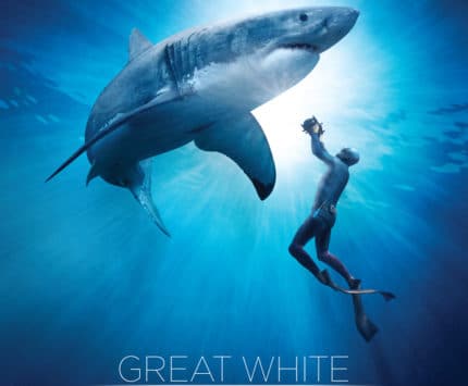 GreatWhiteSharkPoster.jpg