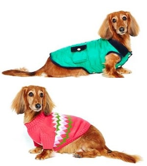 CWonder-Dog-Clothes.jpg