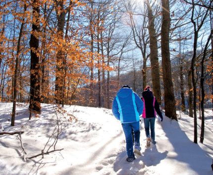 Brown County State Park