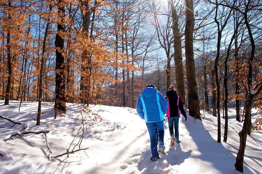 Brown County State Park