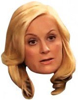 fictional Indiana characters - Leslie Knope