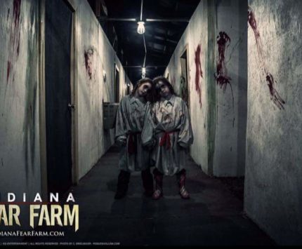 fear-farm-twins