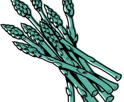 0917-Asparagus-Illustration-web.jpg