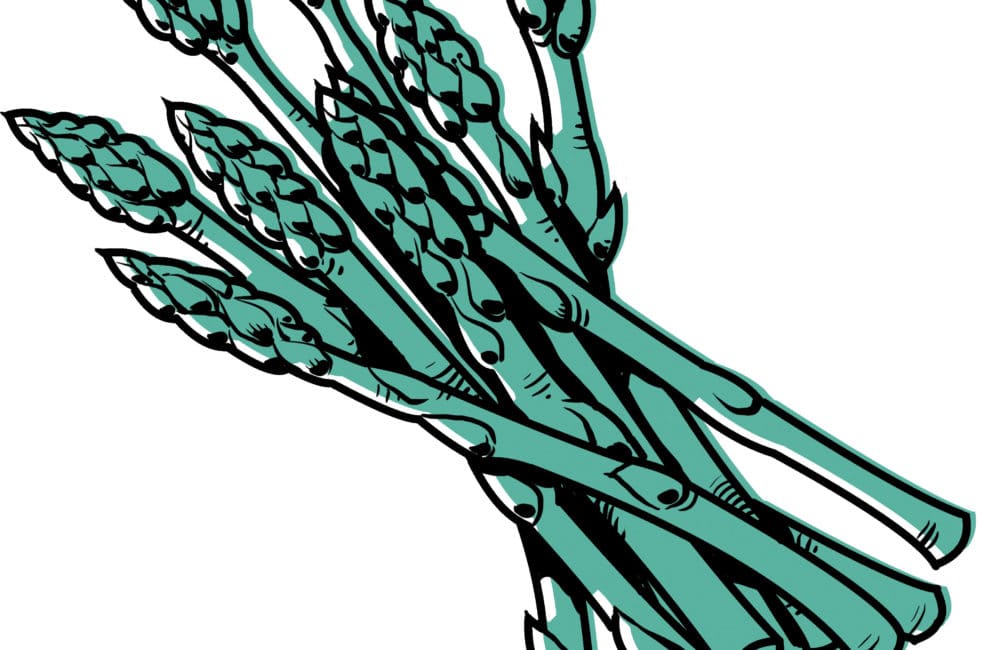 0917-Asparagus-Illustration-web.jpg