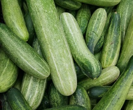 Cucumbers