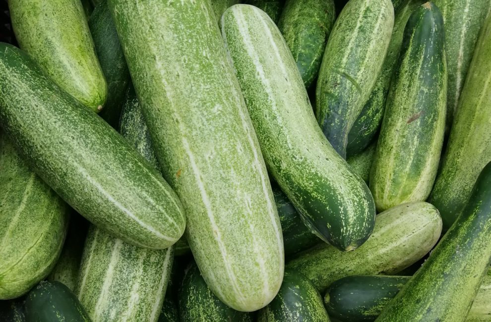 Cucumbers