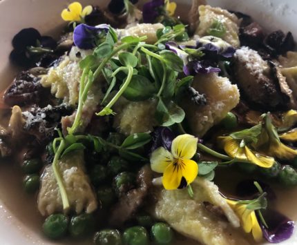 Bacon broth, fennel, oyster mushrooms, parmesan, and pasta