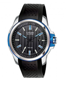 citizen watch