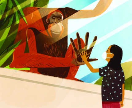 An illustration of an orangutan touching hands with a girl through the glass at a zoo.