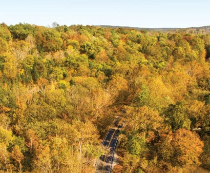 The trees of Brown County bursting with color as fall hits its peak.
