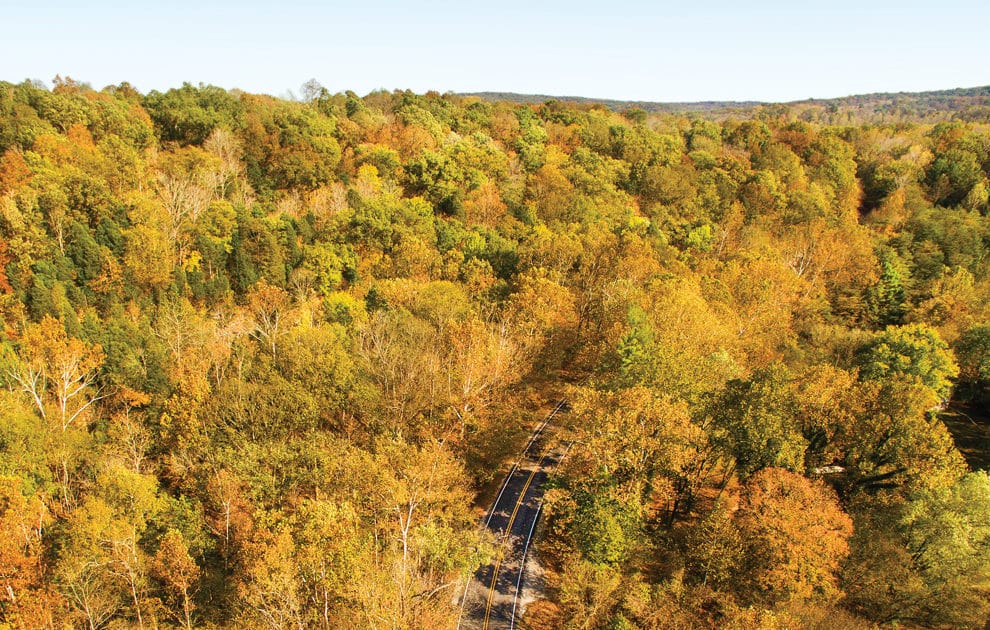 The trees of Brown County bursting with color as fall hits its peak.