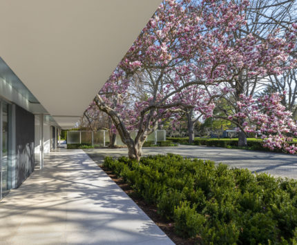 East facade and driveway